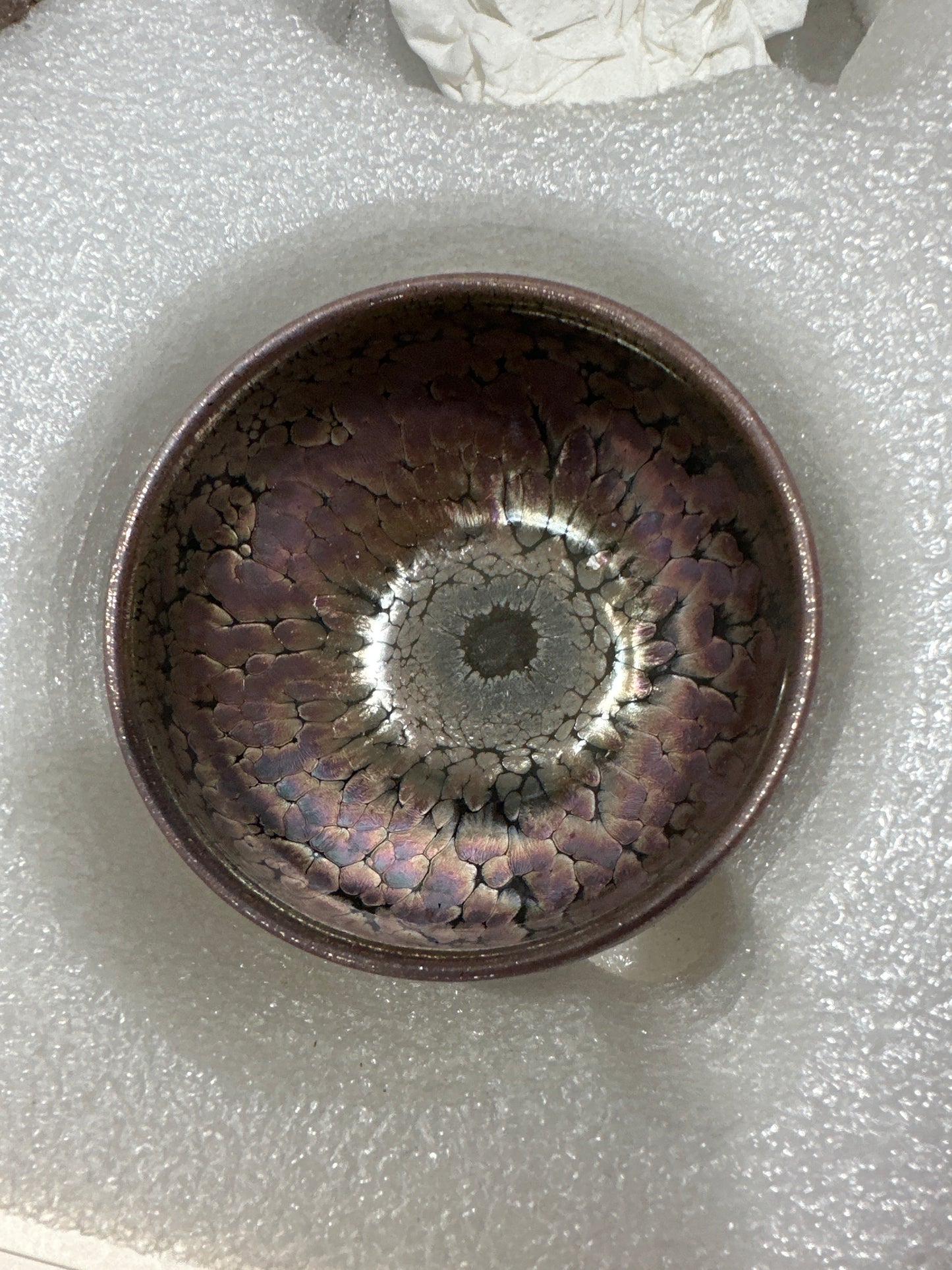 Teacup  2.4