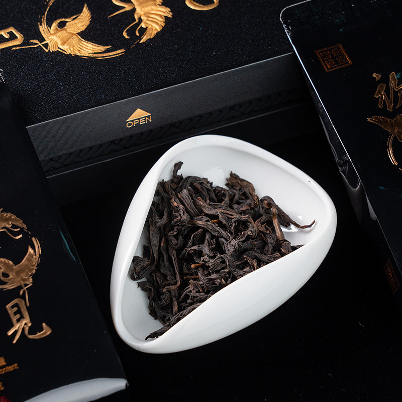 【YSong】Chu Jian